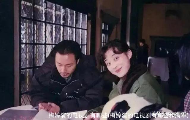 梅婷演的电视剧有哪些(梅婷演的电视剧有哪些和海军)