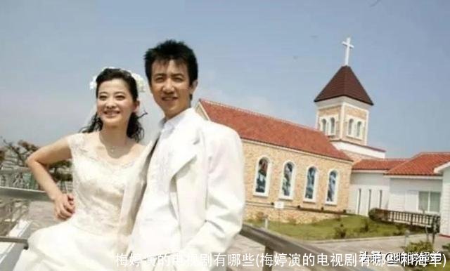 梅婷演的电视剧有哪些(梅婷演的电视剧有哪些和海军)