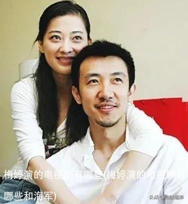 梅婷演的电视剧有哪些(梅婷演的电视剧有哪些和海军)