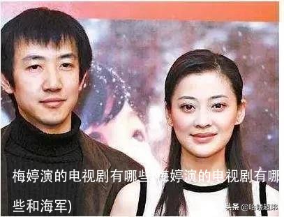 梅婷演的电视剧有哪些(梅婷演的电视剧有哪些和海军)