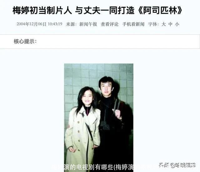 梅婷演的电视剧有哪些(梅婷演的电视剧有哪些和海军)