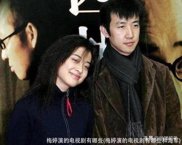 梅婷演的电视剧有哪些(梅婷演的电视剧有哪些和海军)