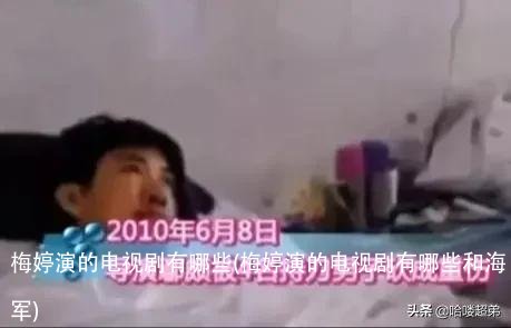 梅婷演的电视剧有哪些(梅婷演的电视剧有哪些和海军)