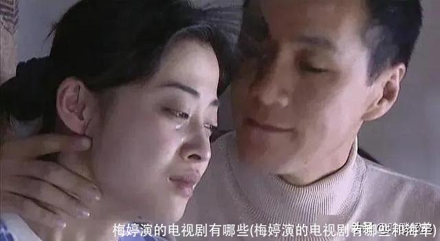 梅婷演的电视剧有哪些(梅婷演的电视剧有哪些和海军)