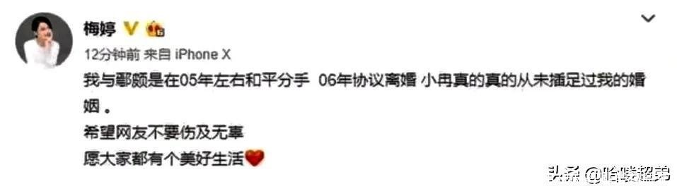 梅婷演的电视剧有哪些(梅婷演的电视剧有哪些和海军)