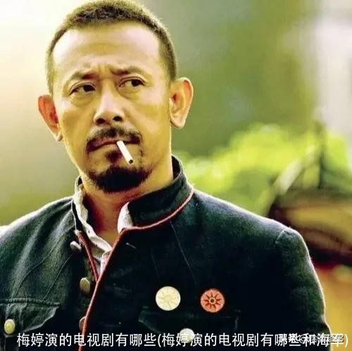 梅婷演的电视剧有哪些(梅婷演的电视剧有哪些和海军)