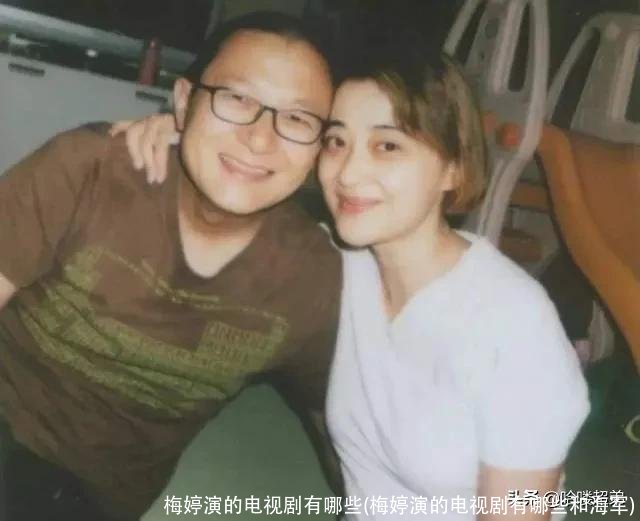 梅婷演的电视剧有哪些(梅婷演的电视剧有哪些和海军)