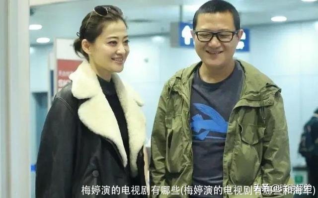 梅婷演的电视剧有哪些(梅婷演的电视剧有哪些和海军)