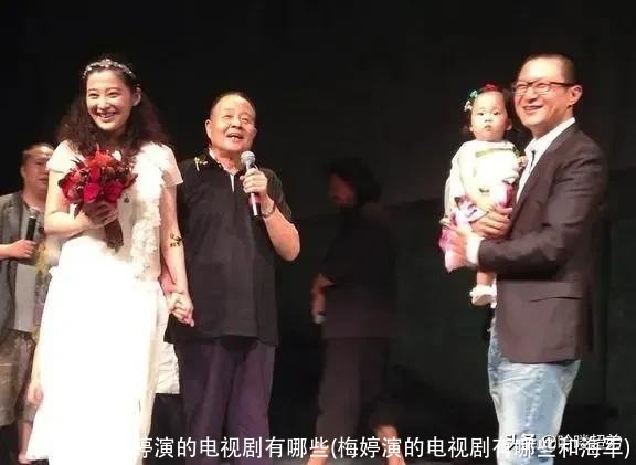 梅婷演的电视剧有哪些(梅婷演的电视剧有哪些和海军)