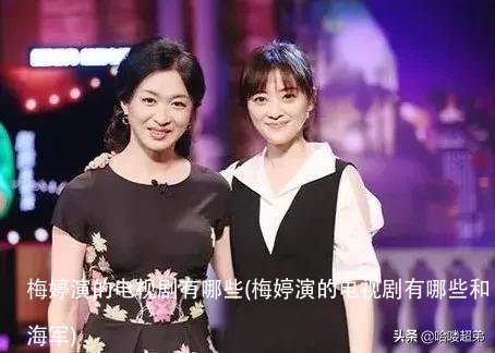 梅婷演的电视剧有哪些(梅婷演的电视剧有哪些和海军)