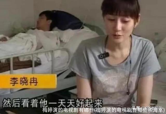 梅婷演的电视剧有哪些(梅婷演的电视剧有哪些和海军)