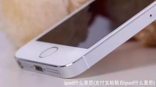 ipad什么意思(支付宝粘贴自ipad什么意思)