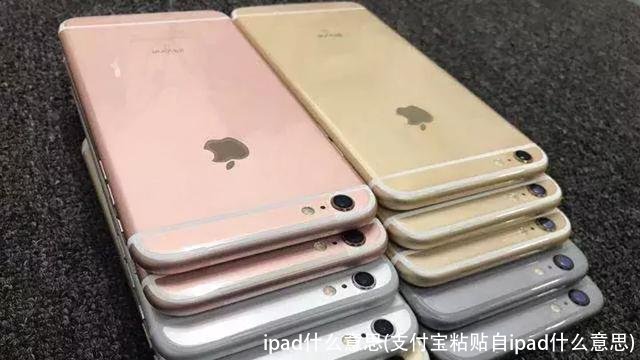 ipad什么意思(支付宝粘贴自ipad什么意思)
