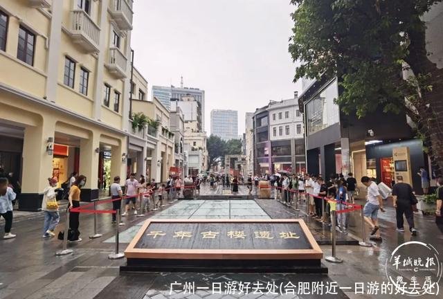 广州一日游好去处(合肥附近一日游的好去处)