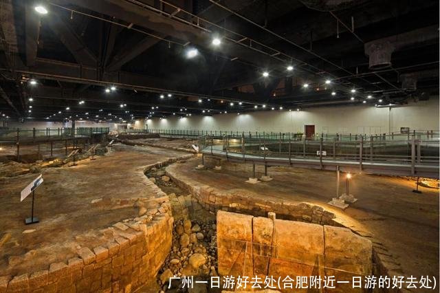 广州一日游好去处(合肥附近一日游的好去处)