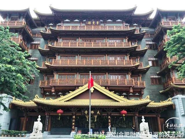 广州一日游好去处(合肥附近一日游的好去处)