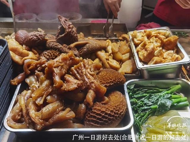 广州一日游好去处(合肥附近一日游的好去处)