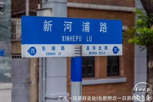 广州一日游好去处(合肥附近一日游的好去处)