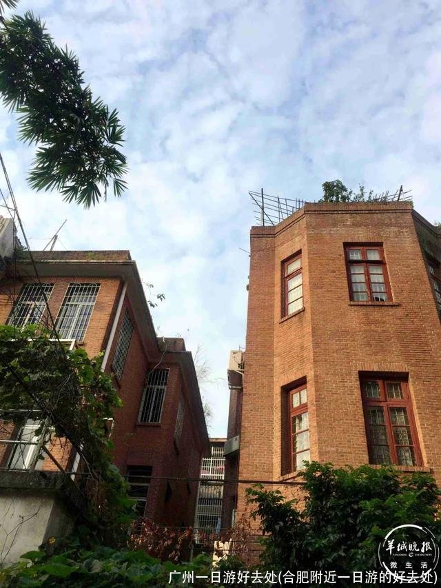 广州一日游好去处(合肥附近一日游的好去处)