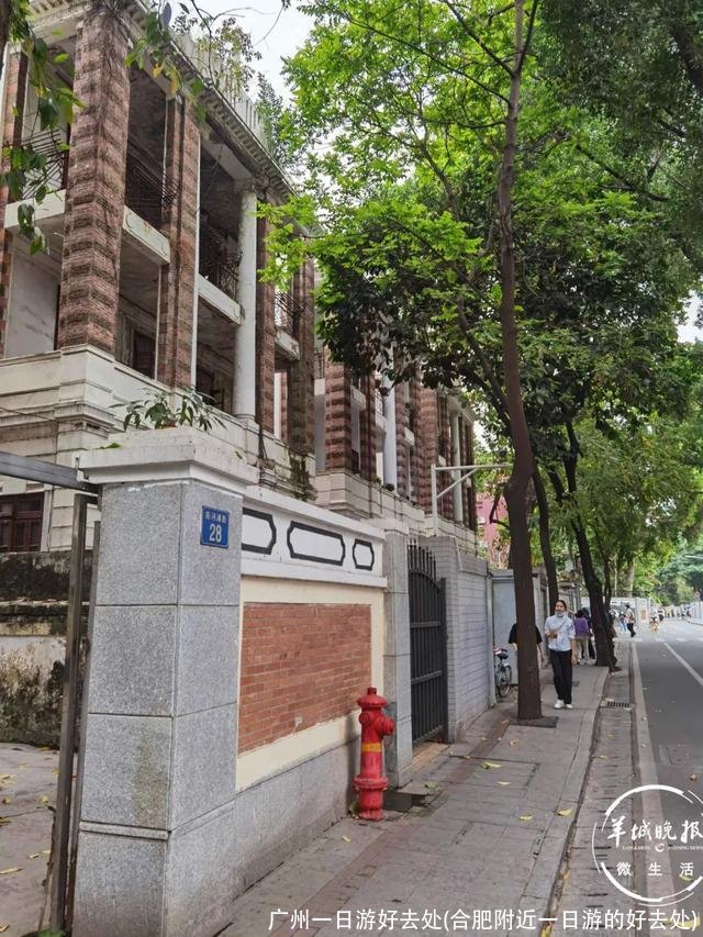 广州一日游好去处(合肥附近一日游的好去处)