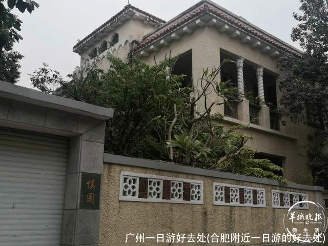 广州一日游好去处(合肥附近一日游的好去处)