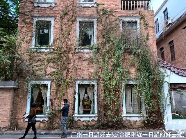 广州一日游好去处(合肥附近一日游的好去处)