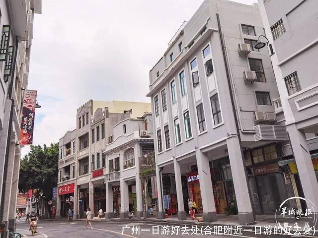 广州一日游好去处(合肥附近一日游的好去处)