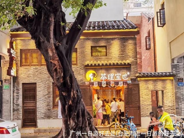 广州一日游好去处(合肥附近一日游的好去处)