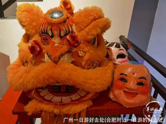 广州一日游好去处(合肥附近一日游的好去处)