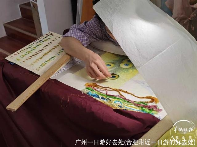 广州一日游好去处(合肥附近一日游的好去处)