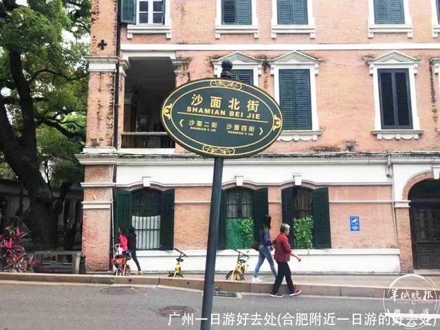 广州一日游好去处(合肥附近一日游的好去处)