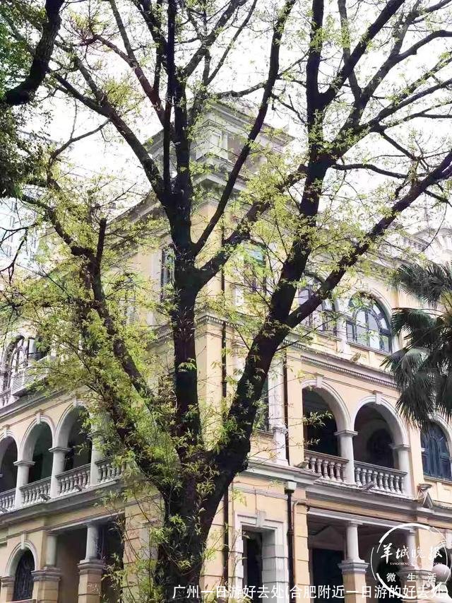 广州一日游好去处(合肥附近一日游的好去处)