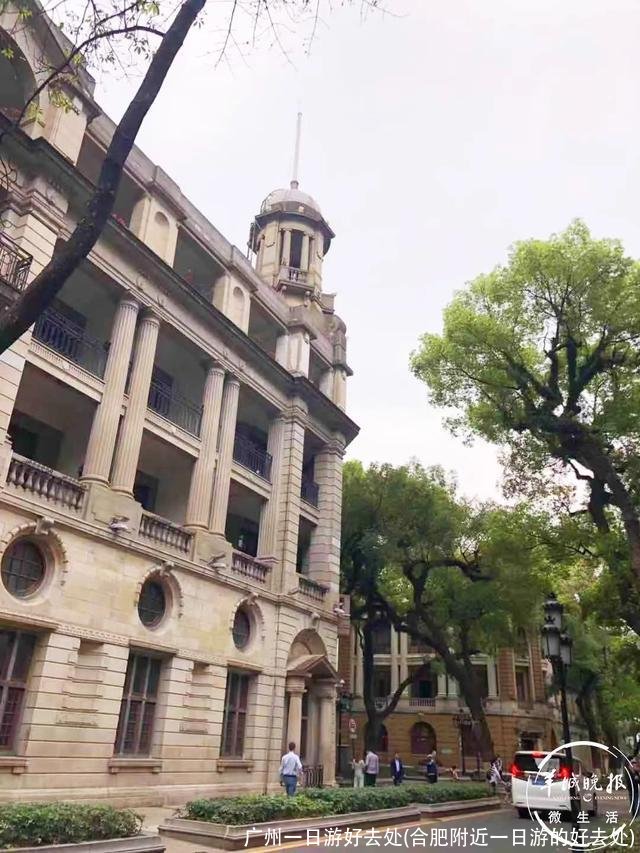 广州一日游好去处(合肥附近一日游的好去处)