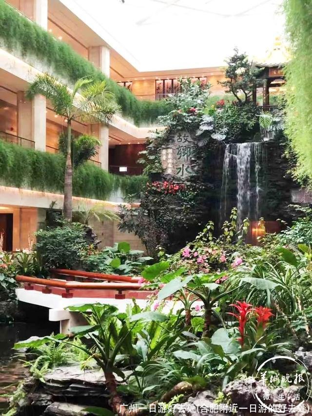 广州一日游好去处(合肥附近一日游的好去处)