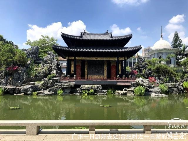 广州一日游好去处(合肥附近一日游的好去处)