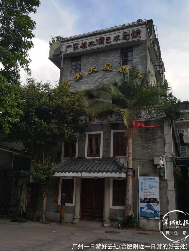 广州一日游好去处(合肥附近一日游的好去处)