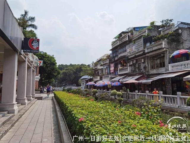 广州一日游好去处(合肥附近一日游的好去处)