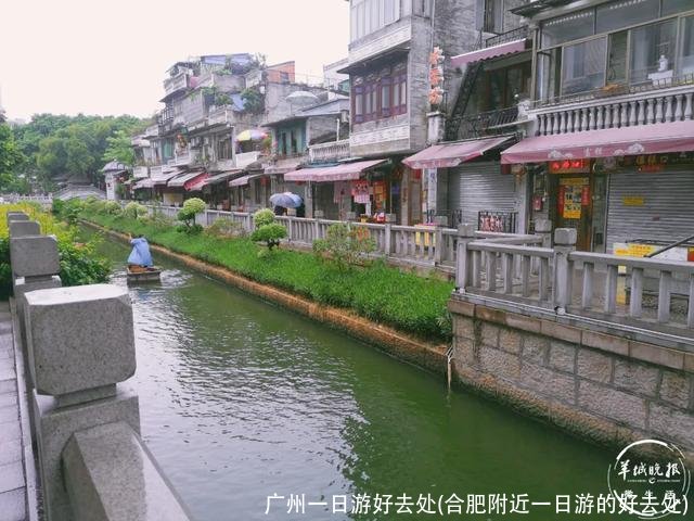 广州一日游好去处(合肥附近一日游的好去处)