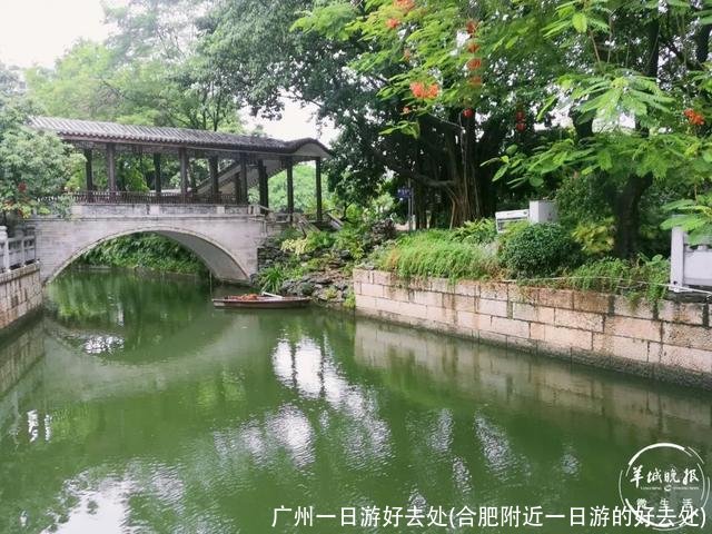 广州一日游好去处(合肥附近一日游的好去处)