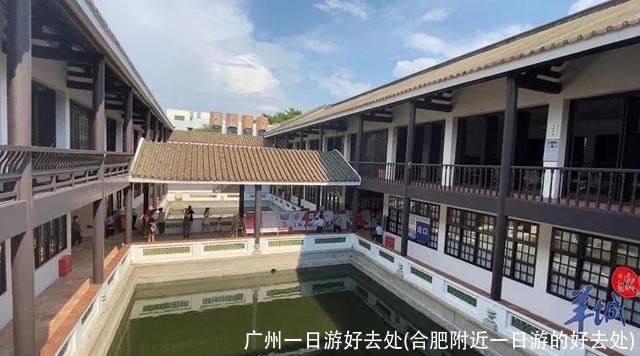 广州一日游好去处(合肥附近一日游的好去处)