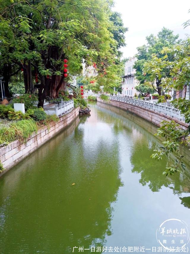 广州一日游好去处(合肥附近一日游的好去处)
