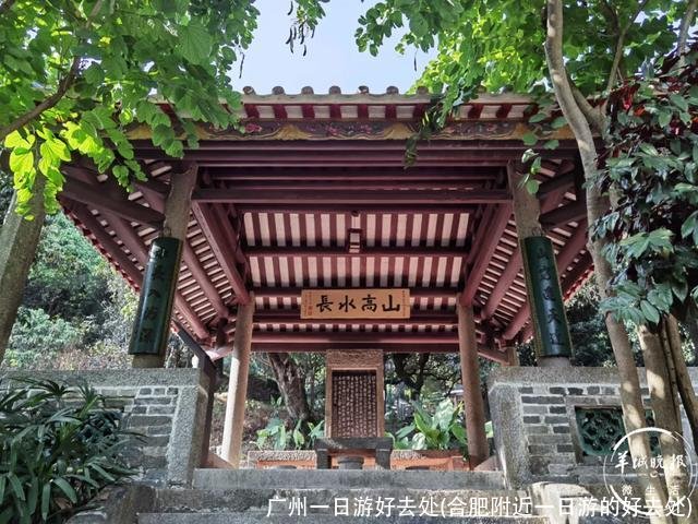 广州一日游好去处(合肥附近一日游的好去处)