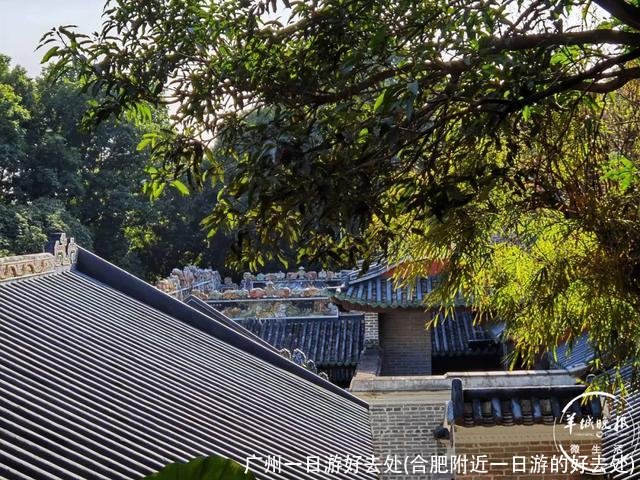 广州一日游好去处(合肥附近一日游的好去处)