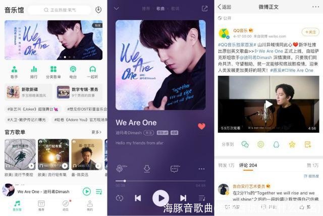 海豚音歌曲(海豚音歌曲叫什么歌名)