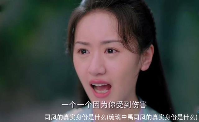 司凤的真实身份是什么(琉璃中禹司凤的真实身份是什么)