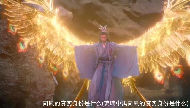司凤的真实身份是什么(琉璃中禹司凤的真实身份是什么)