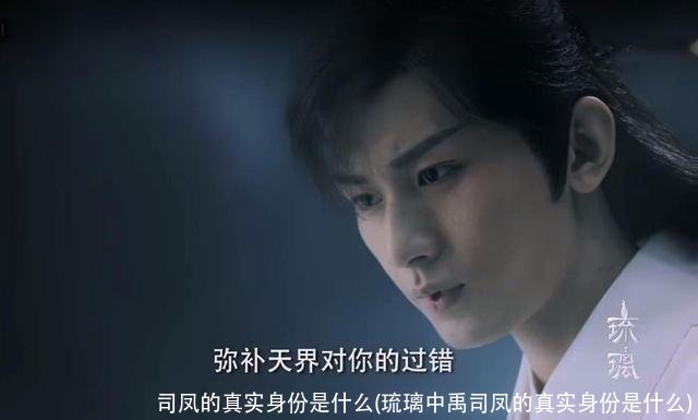 司凤的真实身份是什么(琉璃中禹司凤的真实身份是什么)