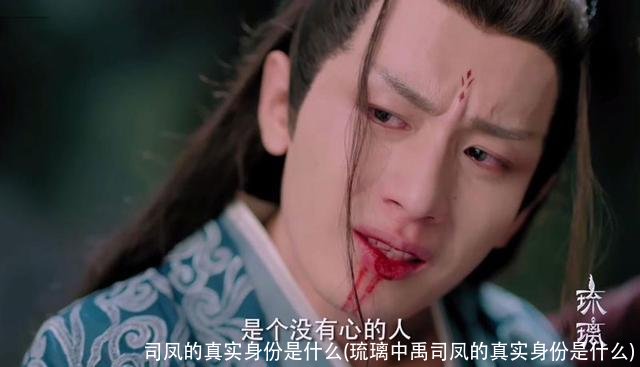 司凤的真实身份是什么(琉璃中禹司凤的真实身份是什么)