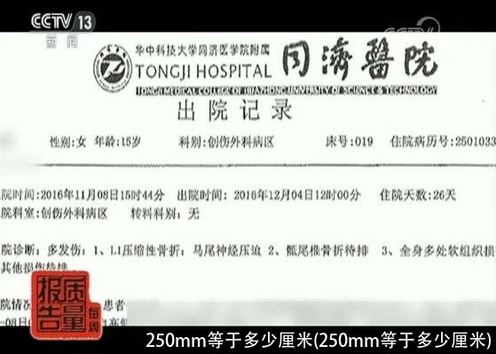 250mm等于多少厘米(250mm等于多少厘米)