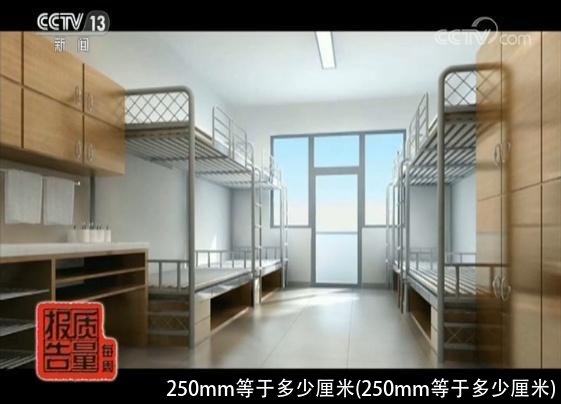 250mm等于多少厘米(250mm等于多少厘米)